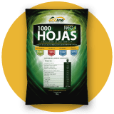 1000 HOJAS