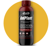 AMPLANT