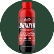 BRIXXER