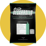 DESARROLLO