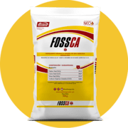 FOSSCA
