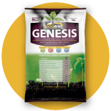 GENESIS
