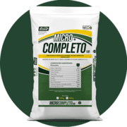 MICRO COMPLETO 100