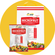 MICROFRUT